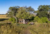 Machaba Web Monachira Camp Rooms Highlights Wildlife Machaba Web Monachira Camp Rooms Highlights Wildlife