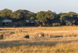 Verneys_Hwange_June2018_58.jpg Verneys Hwange June2018 58