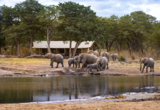 Machaba Zimbabwe Packages List Classic Hwange Machaba Zimbabwe Packages List Classic Hwange