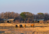 Machaba Web Zimbabwe Verneys Luxury Tent Overview Machaba Web Zimbabwe Verneys Luxury Tent Overview