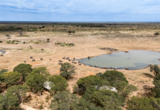 Machaba Zimbabwe Hwange Destination Elephants Wateringhole Machaba Zimbabwe Hwange Destination Elephants Wateringhole