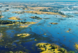 Machaba-south african-season-Okavango-Delta-Botswana.jpg Machaba South African Season Okavango Delta Botswana