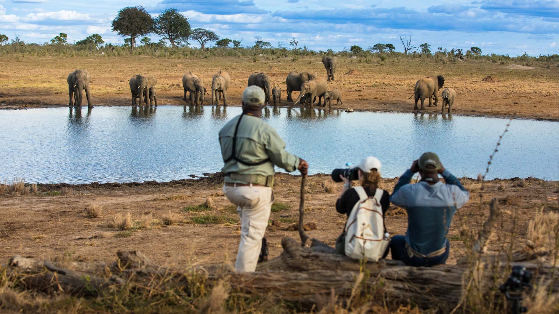Machaba Zimbabwe Walking Safari Elephants Machaba Zimbabwe Walking Safari Elephants