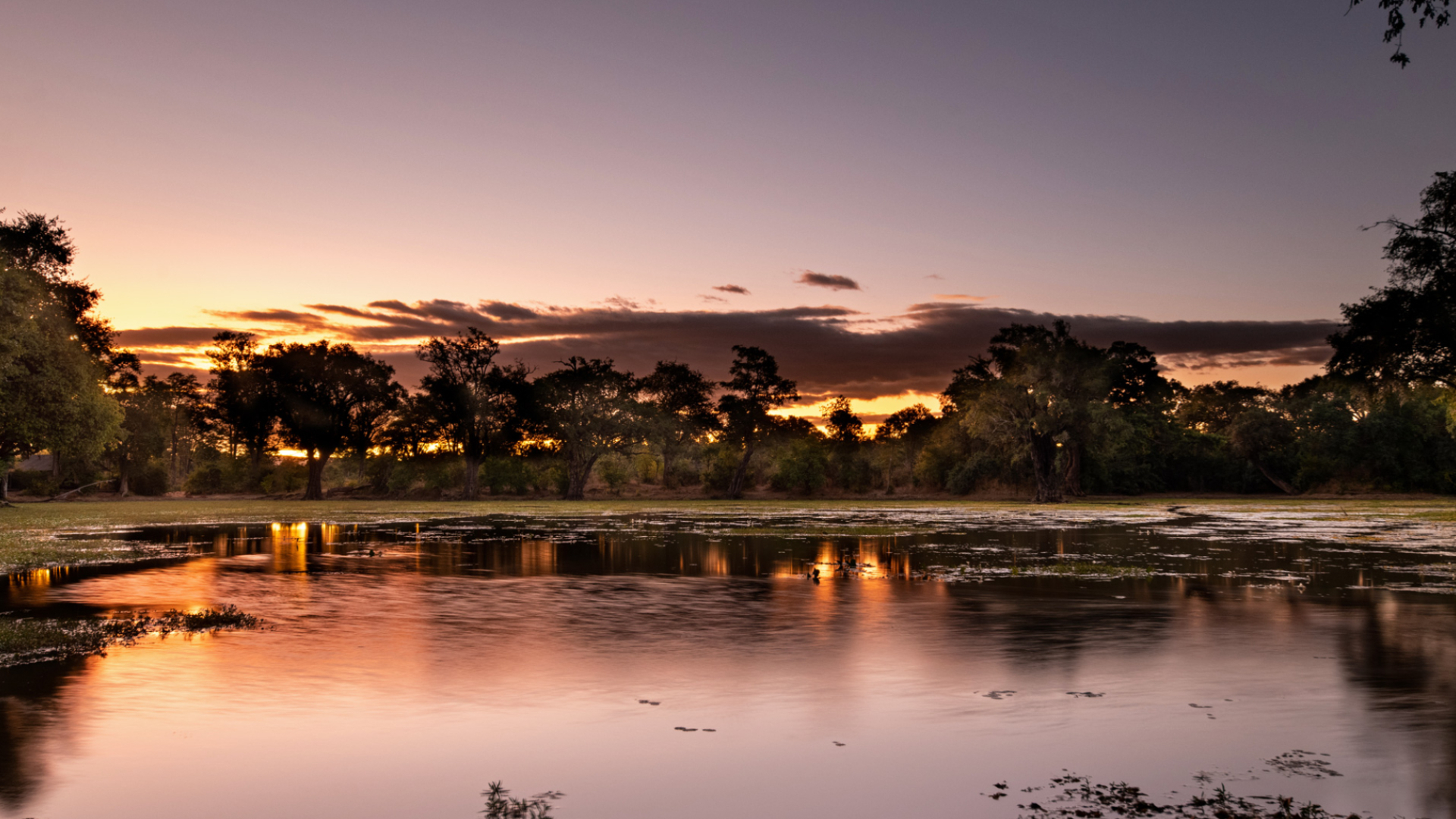 Machaba Zimbabwe Mana Pools Ingwe Pan Lagoon View Night