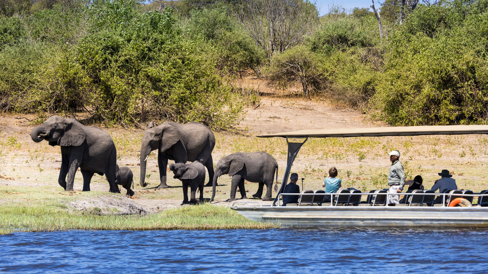 Machaba Web Activity Boating Wildlife From Bank Machaba Web Activity Boating Wildlife From Bank