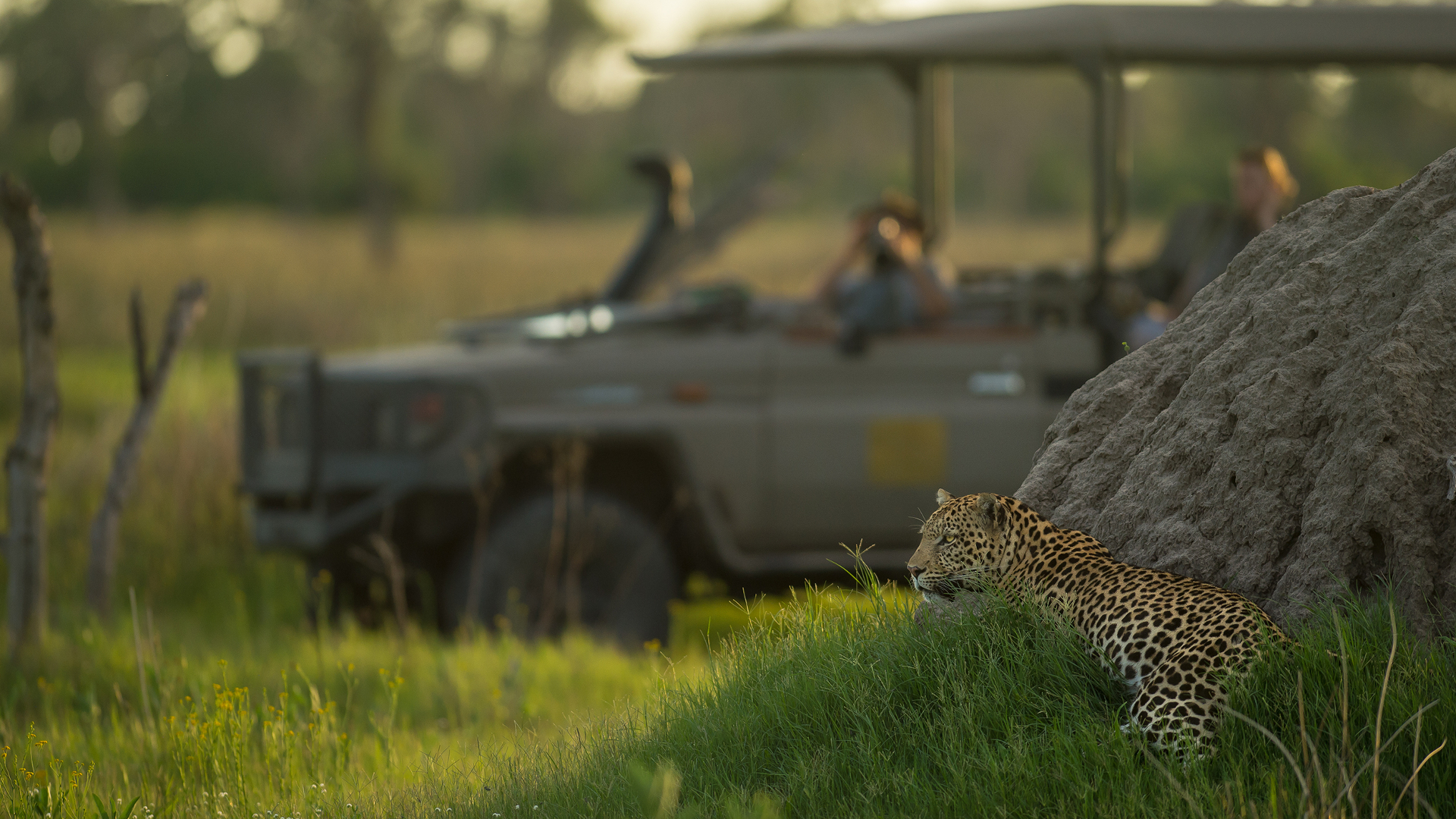 Machaba Safari Experience Banner Leopard Rock Machaba Safari Experience Banner Leopard Rock
