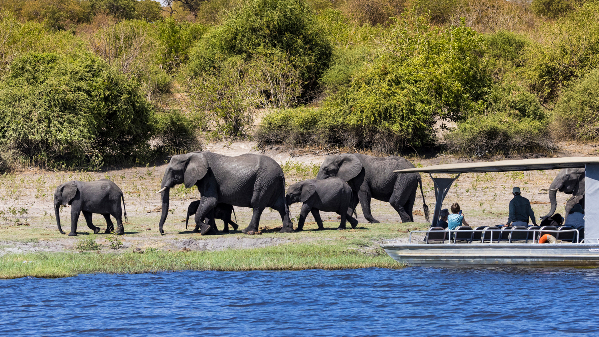 Machaba Web Packages Ngoma Boat Trip