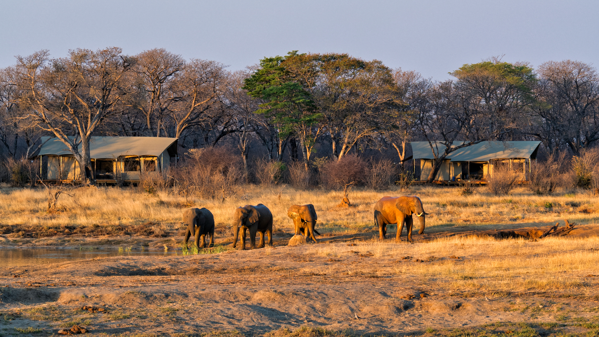 Martin Harvey011 Martin Harvey011