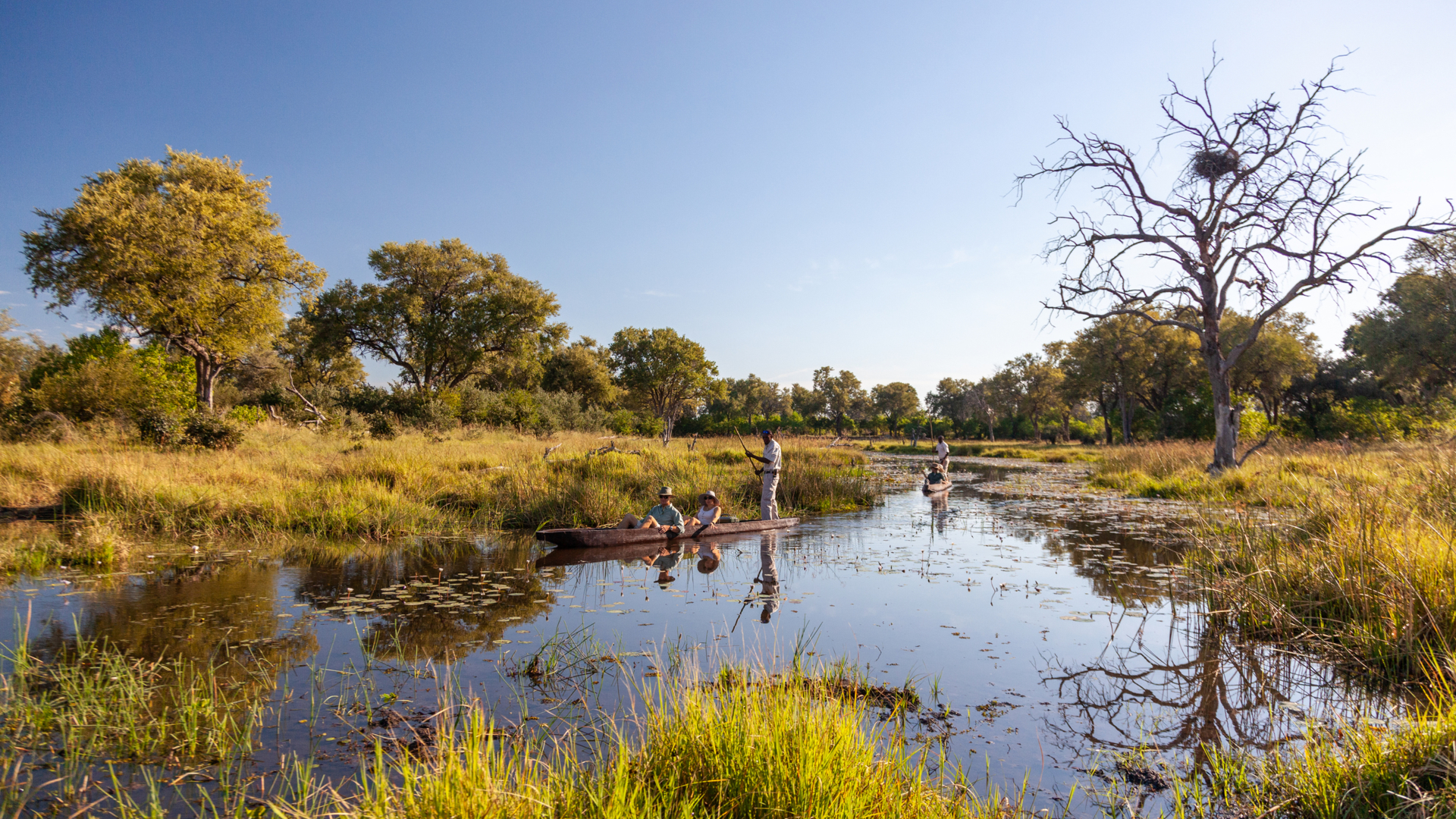 Machaba Machaba Experience Mokoro Mvr 004 Machaba Machaba Experience Mokoro Mvr 004