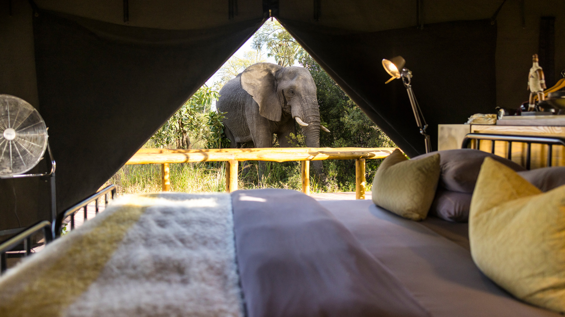 Machaba Safaris Web Botswana Gomoti Camp Wildlife
