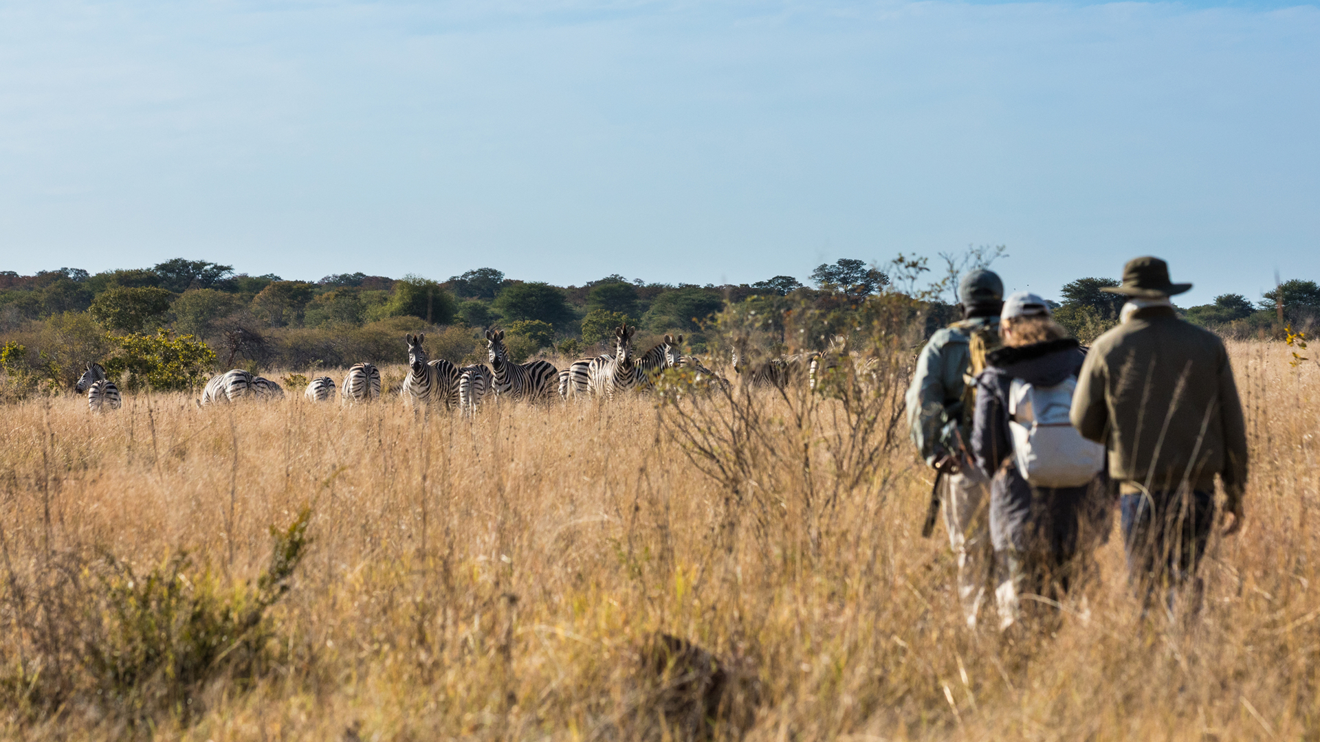 Walking Safaris in Zimbabwe: Getting Off the Vehicle and Into the Bush