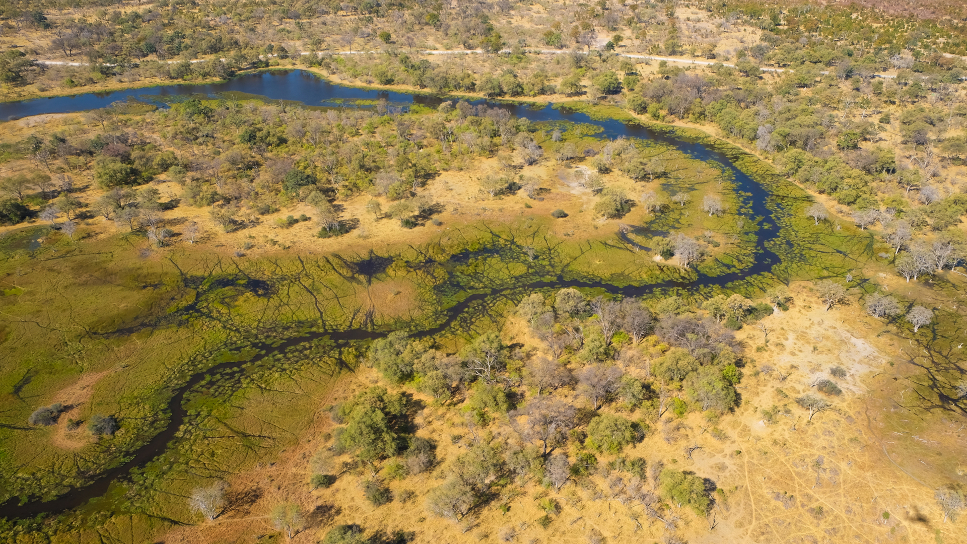 Machaba Camps 7 Machaba Camps 7