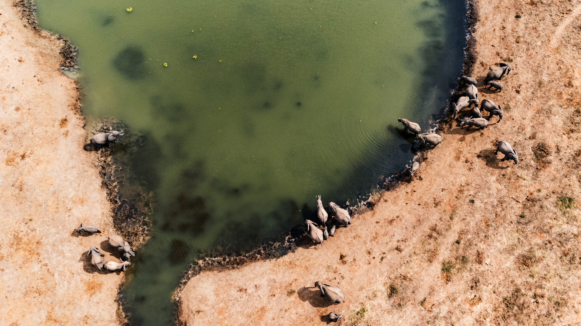 Machaba Zimbabwe Hwange Destination Banner Machaba Zimbabwe Hwange Destination Banner