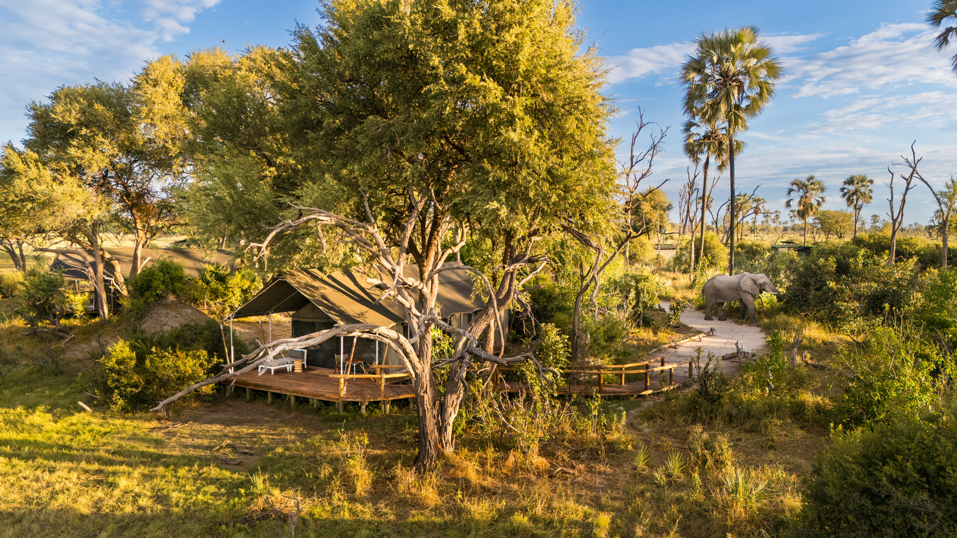 Machaba Safaris Web Botswana Gomoti Camp Overview