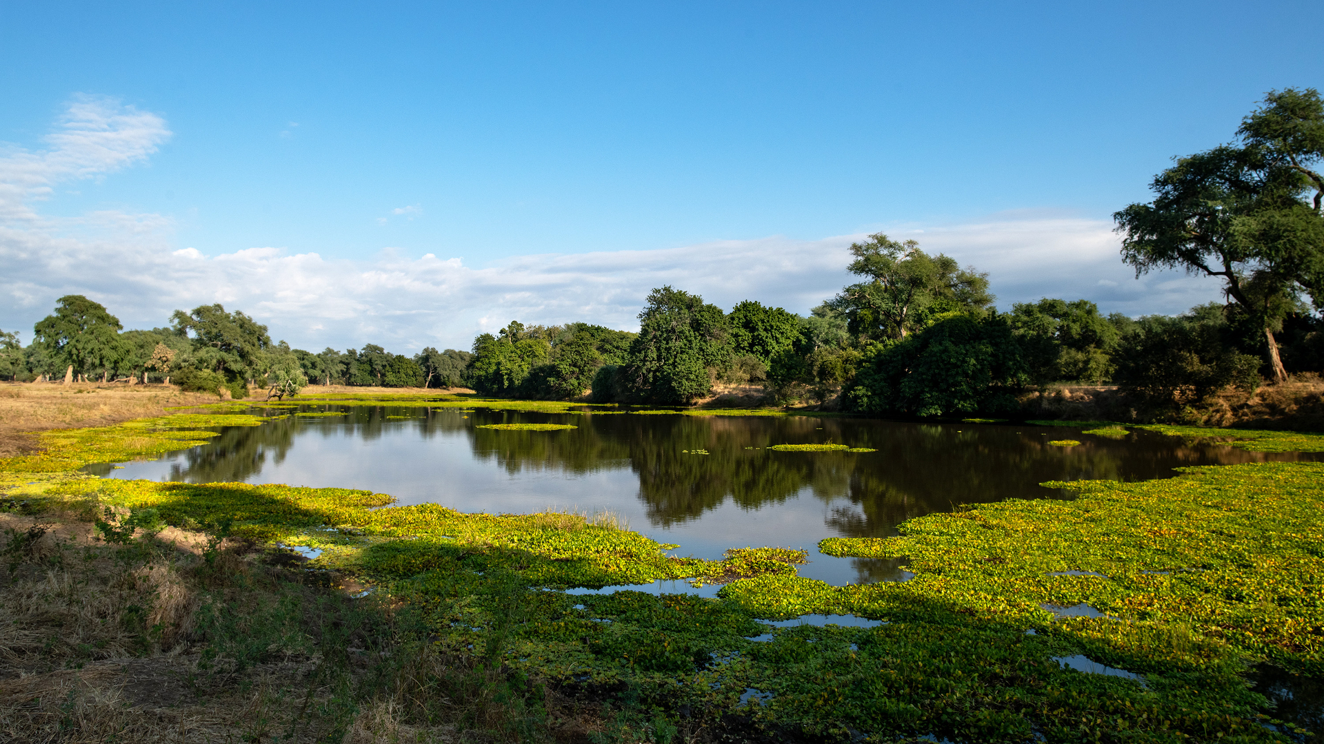 Machaba Web Zimbabwe Mana River Camp Wetlands Machaba Web Zimbabwe Mana River Camp Wetlands