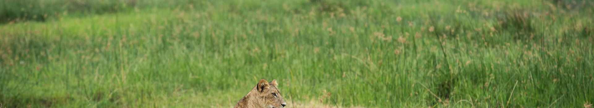 Machaba Deteema Accommodation Lodge Mvr 045