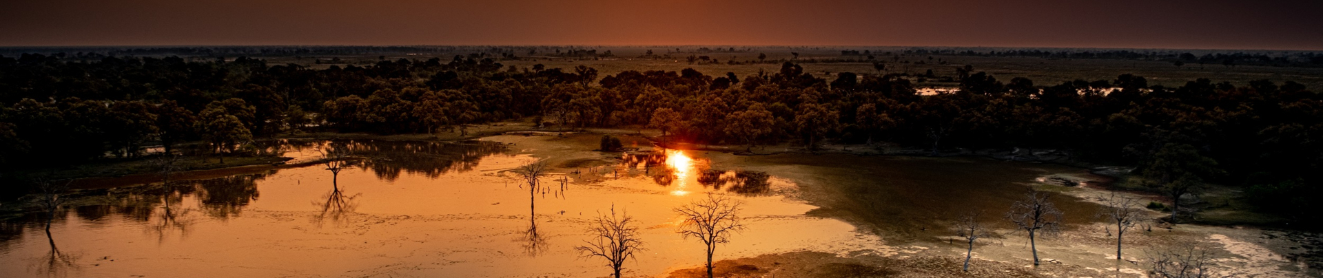Machaba Gomoti Plains Camp Wildlife Sightings July 2025 Banner Okavango Delta At Sunset