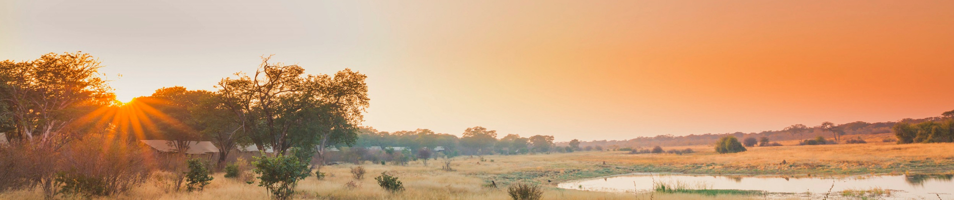 Machaba Deteema Springs Camp Wildlife Sightings April 2025 Banner Sunrise Over Deteema Springs Camp Machaba Deteema Springs Camp Wildlife Sightings April 2025 Banner Sunrise Over Deteema Springs Camp