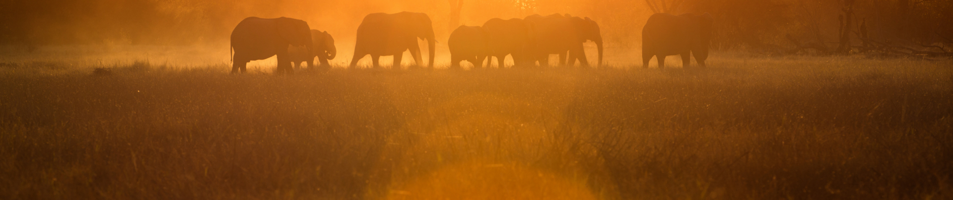 Machaba Camps 167 Machaba Camps 167