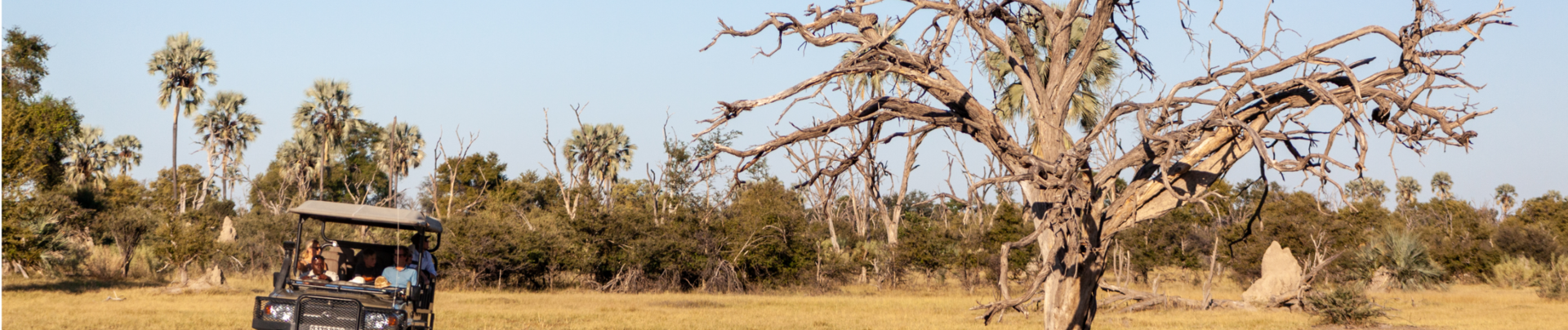 Machaba Monachira Camp Wildlife Sightings February 2026 Banner Safari Excursion