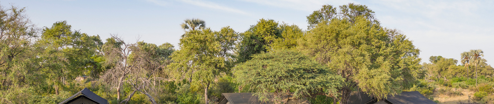 Machaba Safaris Gomoti Plains Wildlife Sightings Gomoti Plains