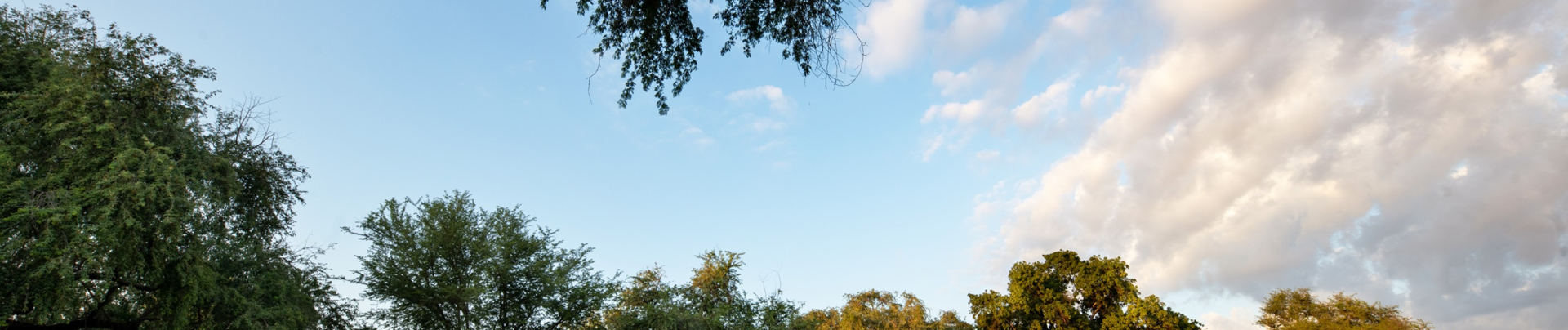 Mana Pools Banner.jpg