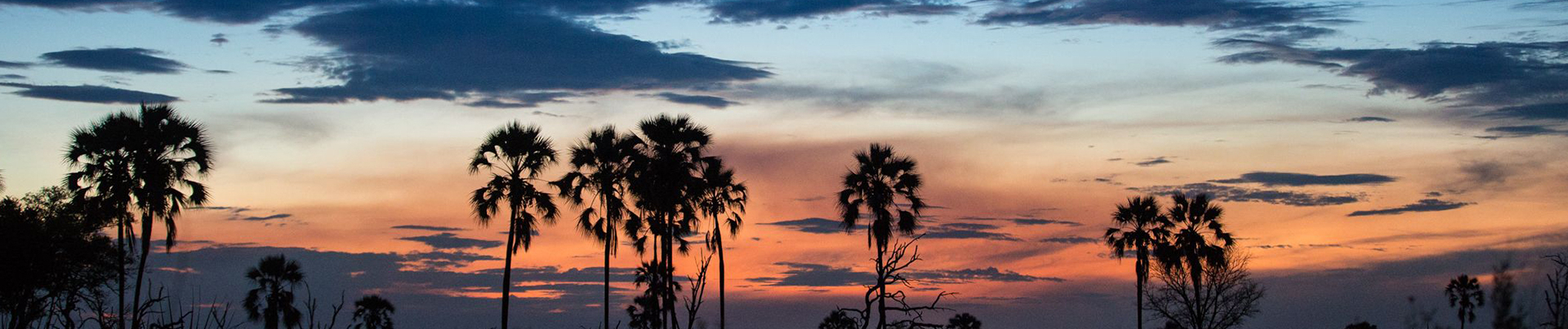 Botswana   Okavango Delta   Machaba Camp   November Sightings   Sunset 1
