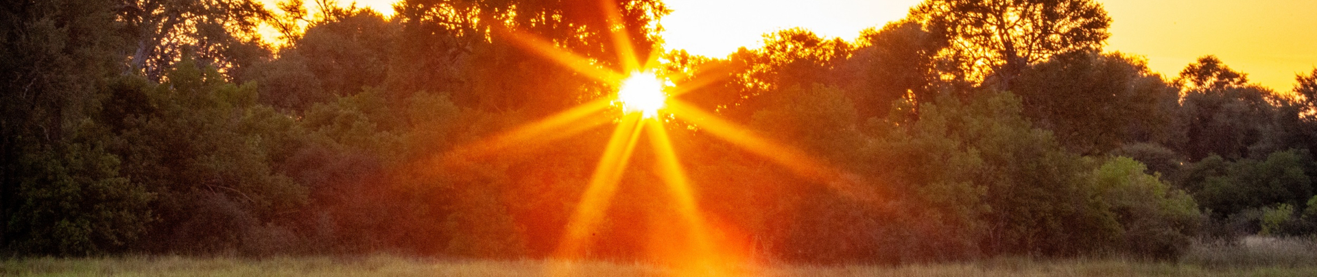 Machaba Machaba Camp Wildlife Sightings August 2025 Banner Sunrise Over The Okavango
