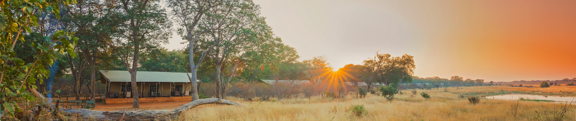Machaba Verneys Camp Wildlife Sightings February 2026 Banner Verneys At Sunset