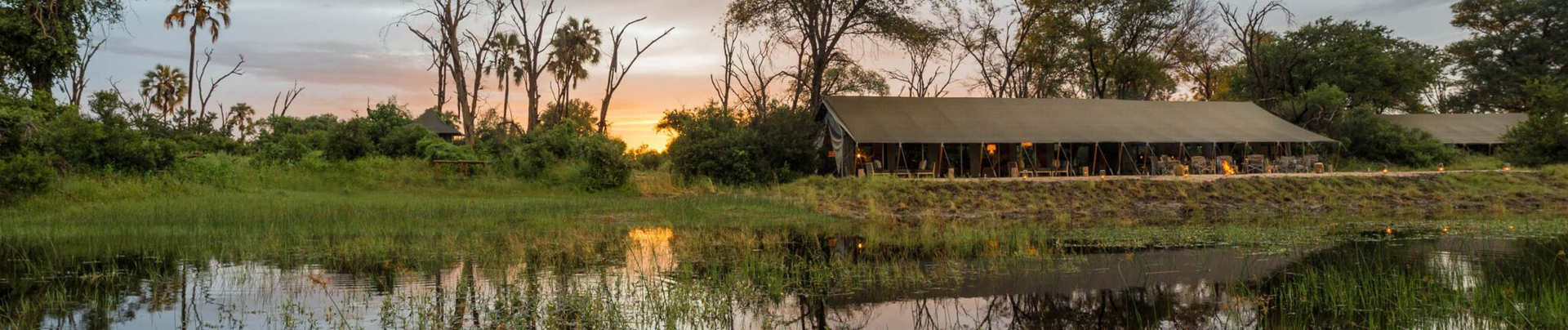 Banner Image Gomoti Plains April Wildlife Report