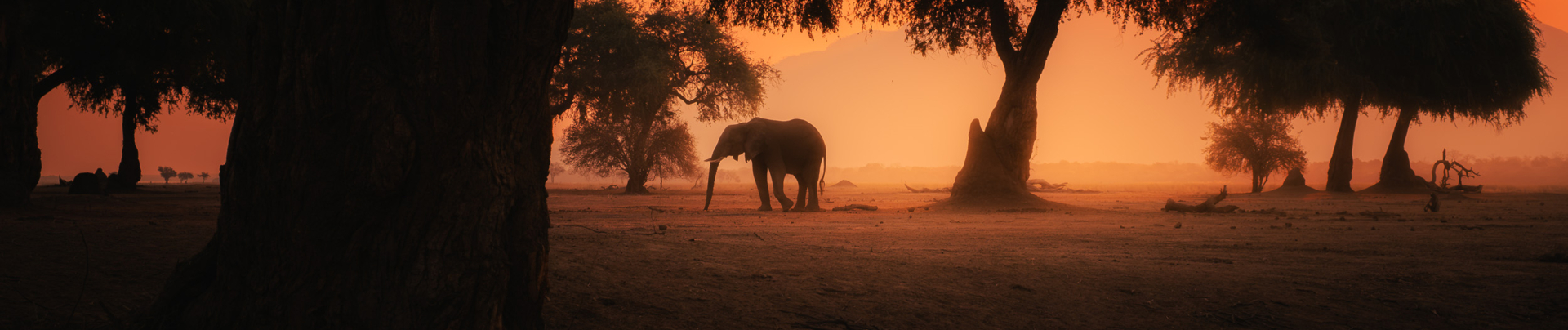Machaba Zimbabwe Mana Pools Ingwe Pan Landscape
