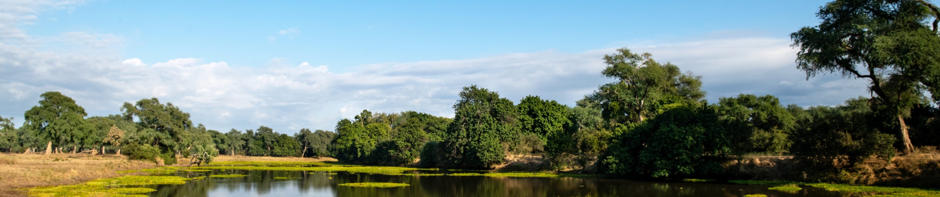Mana Pools National Park.jpg