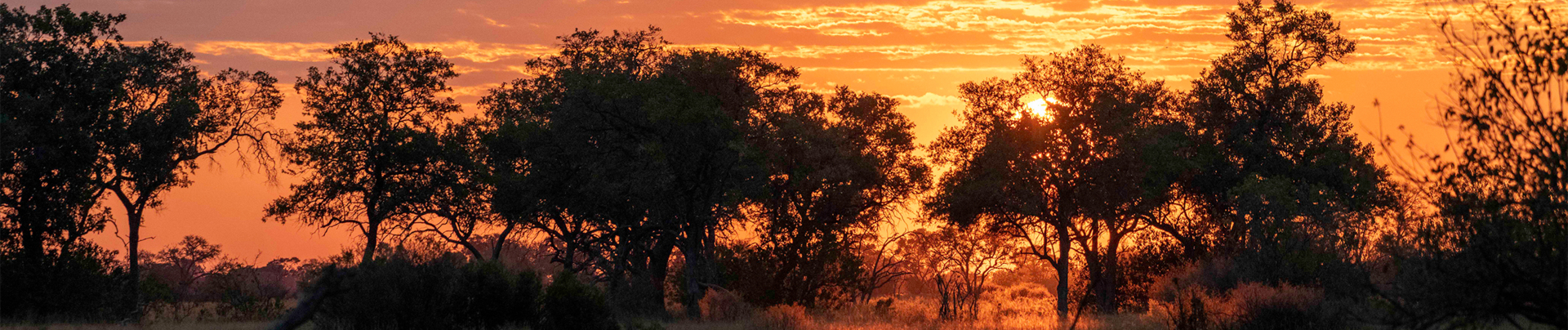 Botswana Kiri Camp Sunset Autumn Botswana Kiri Camp Sunset Autumn