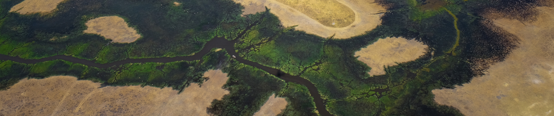 Kwai Banner.jpg Kwai Banner.jpg