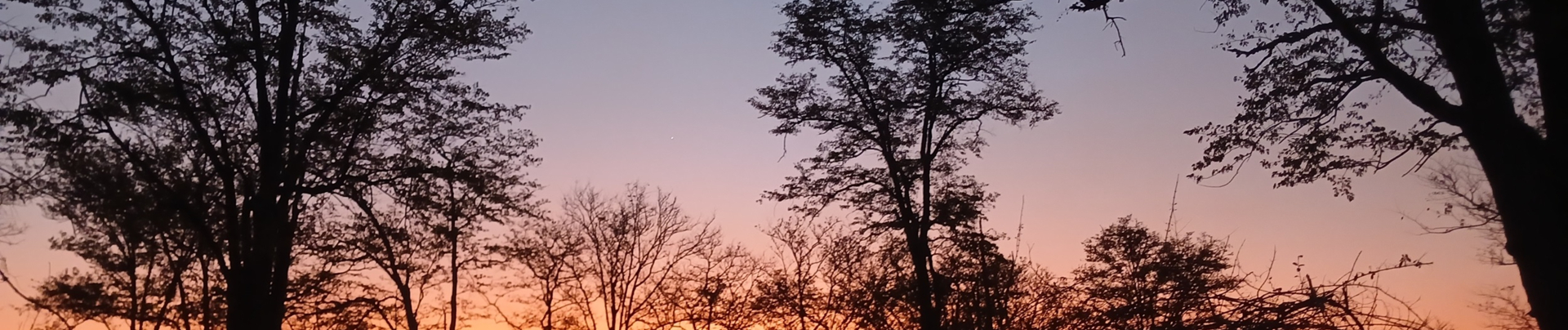 Ingwe Pan Banner.jpg Ingwe Pan Banner.jpg