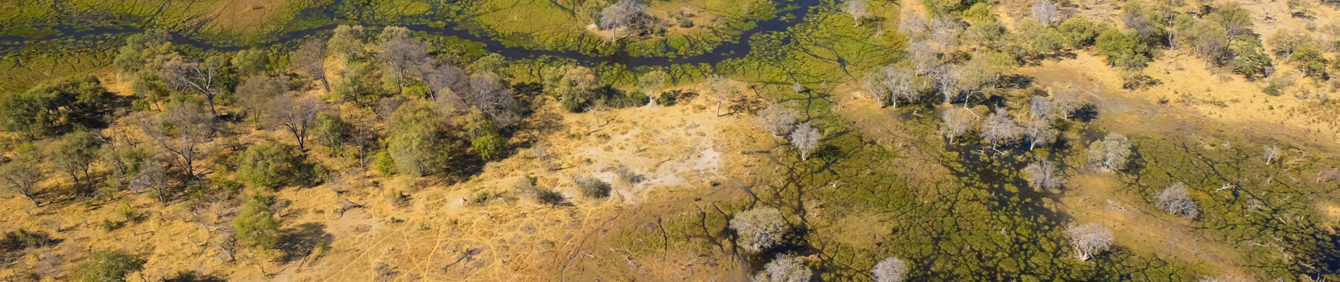 Machaba Camp Banner.jpg Machaba Camp Banner.jpg