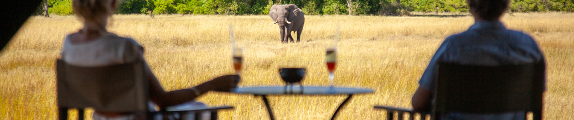 Machaba Little Machaba Accommodation Tent Mvr 004 Machaba Little Machaba Accommodation Tent Mvr 004