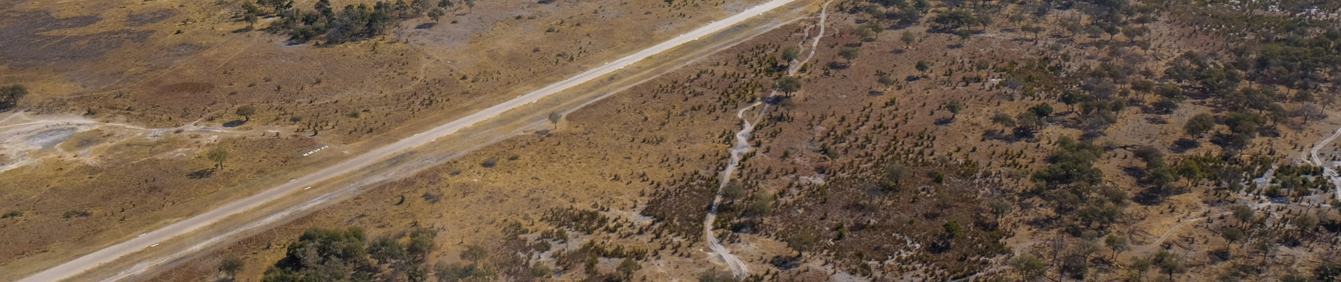 Machaba Camp Wildlife Sightings July 2025 Banner Herd In The Okavango Delta