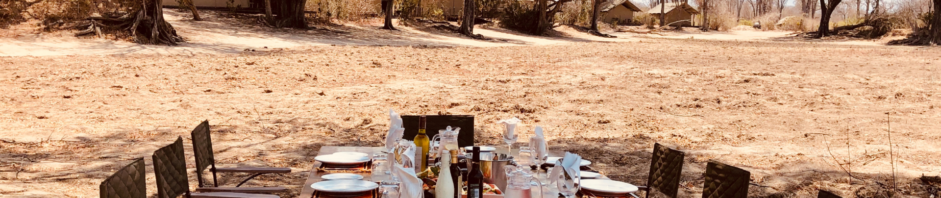 Machaba Zimbabwe Ingwe Pan Sightings July 2020 Banner Machaba Zimbabwe Ingwe Pan Sightings July 2020 Banner