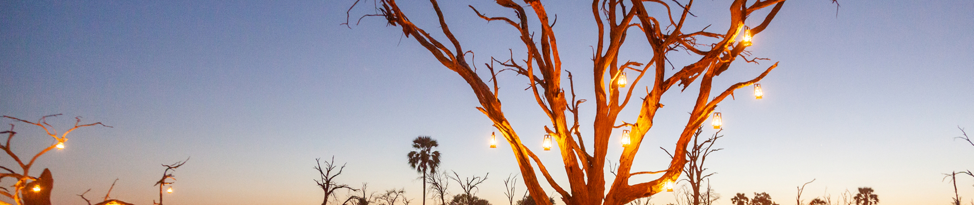 Machaba Safaris Gomot Plains Wildlife Sightings Dec 2024 Safari Experience