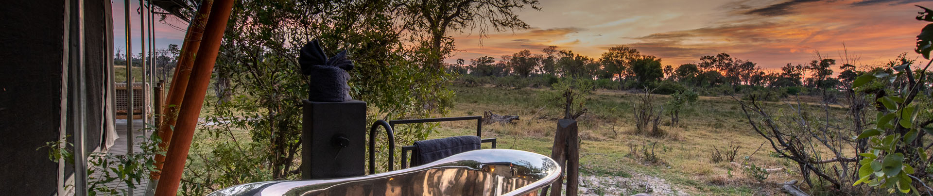 Willdife Sightings Gomoti Plains Botswana August 2024 Safari Experience