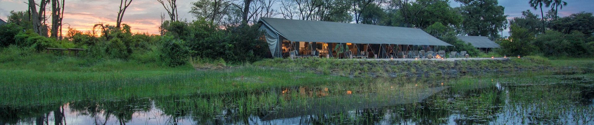 Machaba Gomoti Plains Camp Wildlife Sightings May 2025 Banner Luxury Tented Camp