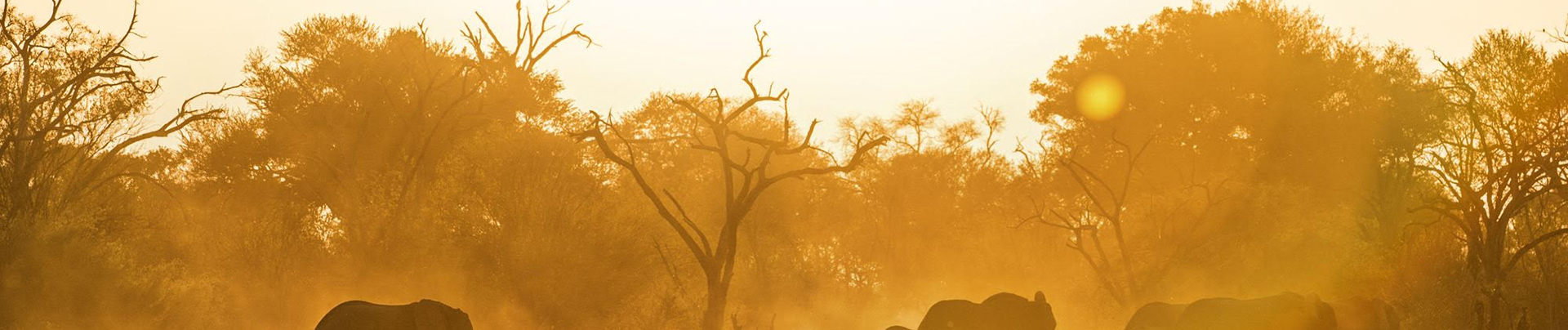 Machaba Safaris   Botswana   Elephant Silhouette Machaba Safaris   Botswana   Elephant Silhouette