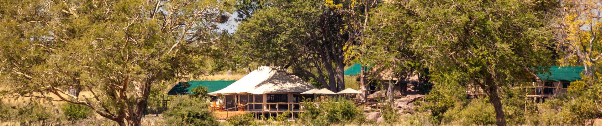 Machaba Deteema Springs Camp  November Sightings Accommodation Banner Machaba Deteema Springs Camp  November Sightings Accommodation Banner