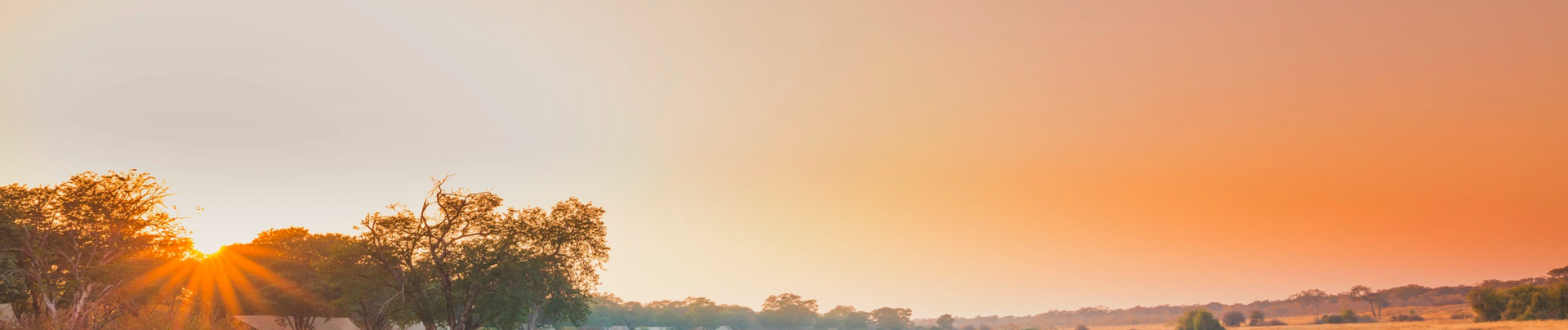 Hwange National Park.jpg