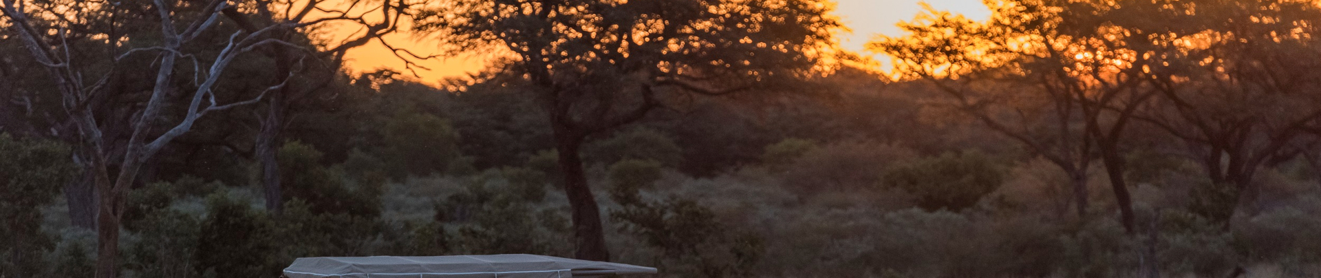 Machaba Verneys Camp Wildlife Sightings April 2025 Sunset African Safari Machaba Verneys Camp Wildlife Sightings April 2025 Sunset African Safari