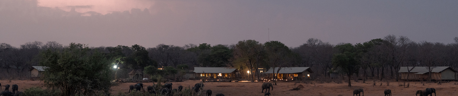 Machaba Safaris   Verneys Camp   Wildlife Sightings   May 2025   Banner Machaba Safaris   Verneys Camp   Wildlife Sightings   May 2025   Banner