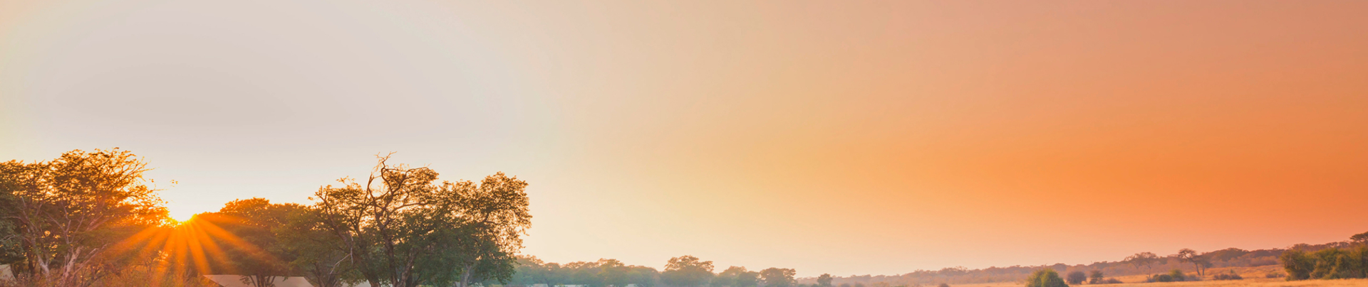 Zimbabwe   Mana Pools   Ingwe Pan   August Sightings 2021   CTA   Destination Zimbabwe