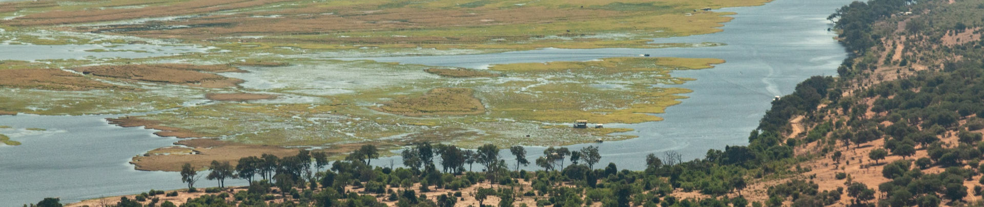Machaba Deteema Springs Camp Wildlife Sightings July 2025 Banner Hwange Flood Plain