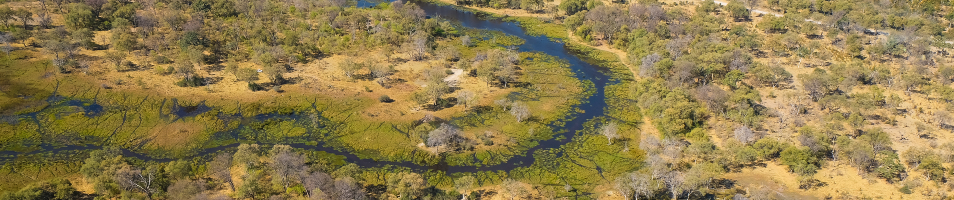 Machaba Camp Wildlife Sightings July 2026 Banner Okavango Delta Dry Season